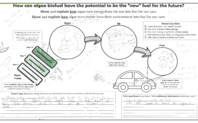 Unit Bundles – K-12