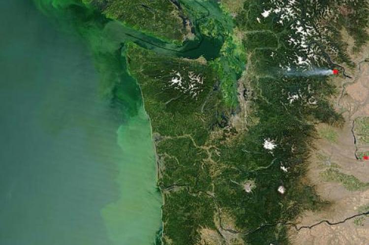 Teaching Climate Science Using a Local Phenomenon: Harmful Algal Blooms