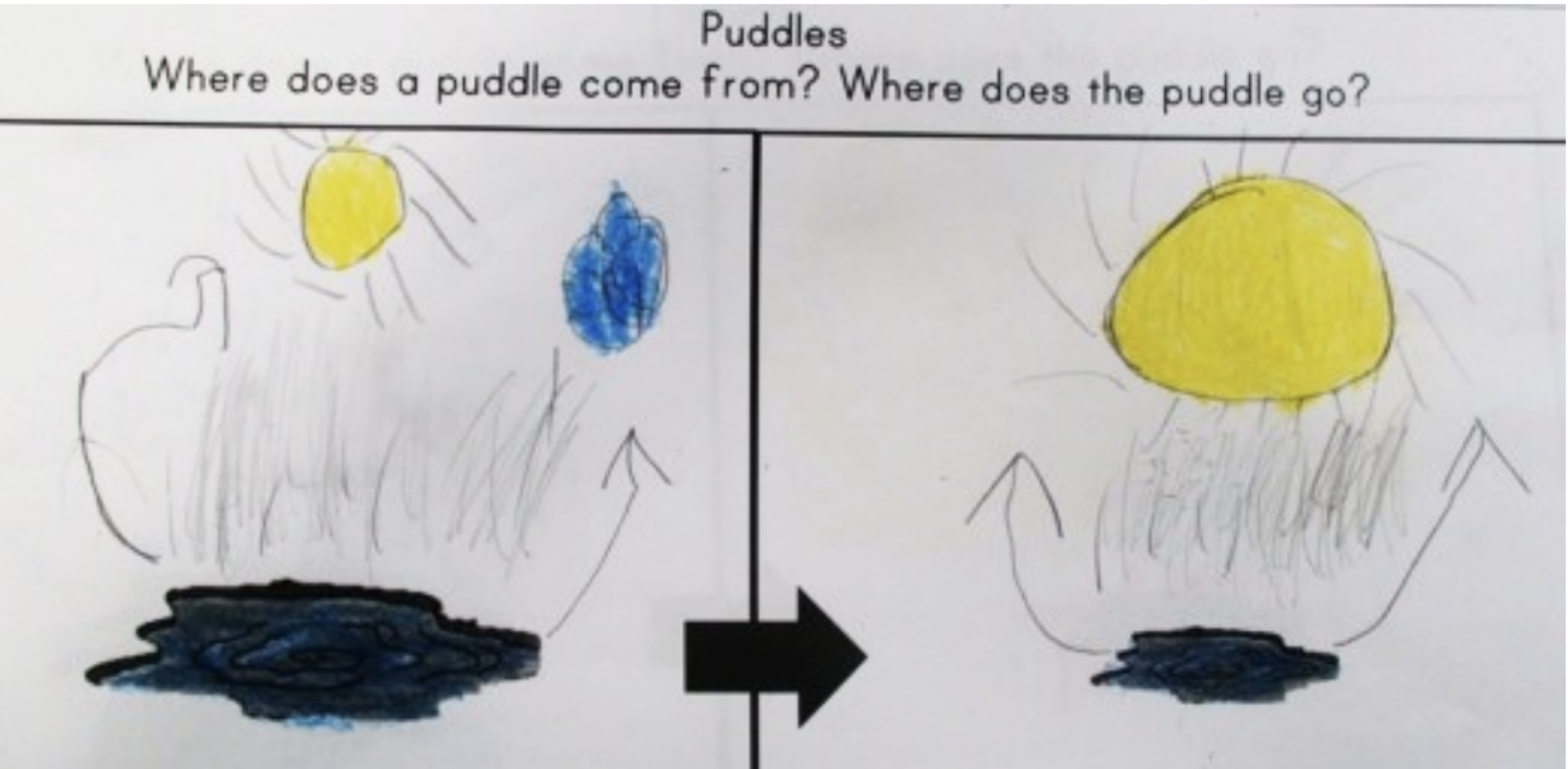 A kindergarten student's model of where puddles come from and go. The model shows the sun and a puddle with upward arrows pointed toward the sun in both panels of the model.