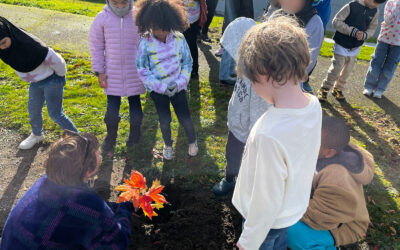 Building Reciprocity through Collaborative Storytelling